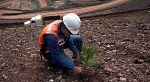 Lee más sobre el artículo Minería Sostenible: Desafíos Ambientales y Compromiso con el Medio Ambiente