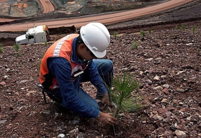 Minería Sostenible: Desafíos Ambientales y Compromiso con el Medio Ambiente