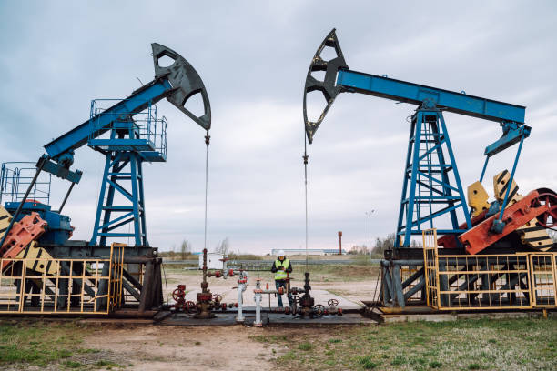 Petróleo