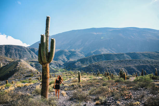 Salta
