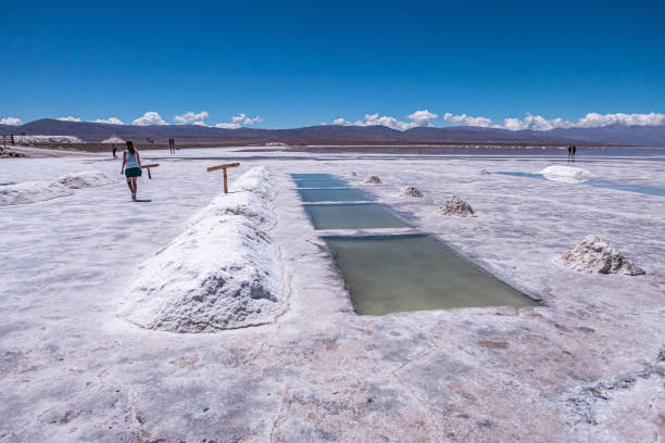 Lee más sobre el artículo Salta: Crecimiento Regional de Paramerica SA