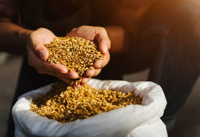 Paramérica SA y su consolidación en la Industria del Cereal