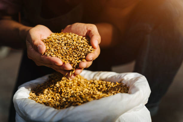 En este momento estás viendo Paramérica SA y su consolidación en la Industria del Cereal