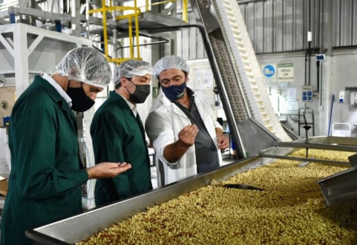 Las Legumbres y su impacto en las exportaciones