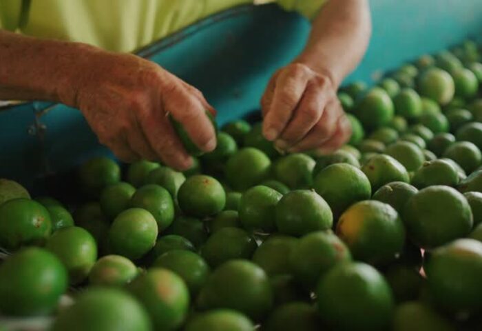 Lima en el NOA: Una Producción de Paramerica SA