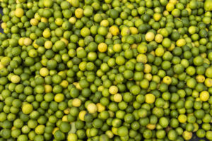Lee más sobre el artículo los limones argentinos en un mercado cambiante