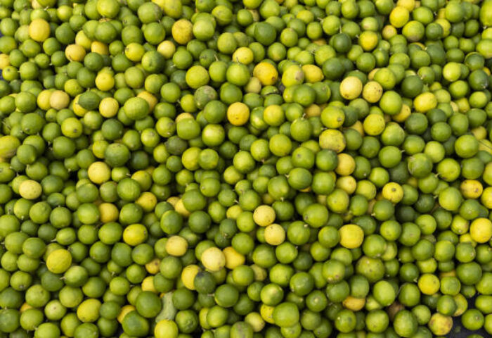 los limones argentinos en un mercado cambiante