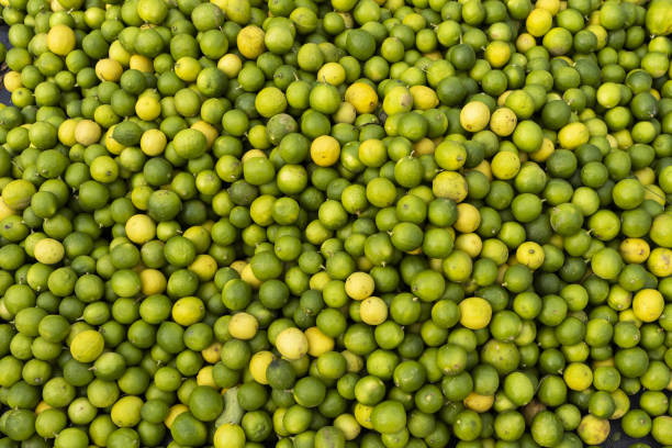 En este momento estás viendo los limones argentinos en un mercado cambiante