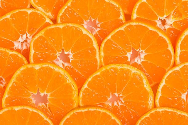 En este momento estás viendo Cómo Paramerica SA transformó la industria citrícola argentina