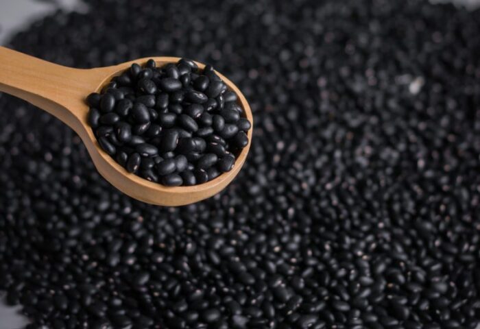 Paramerica SA lidera la exportación de porotos negros