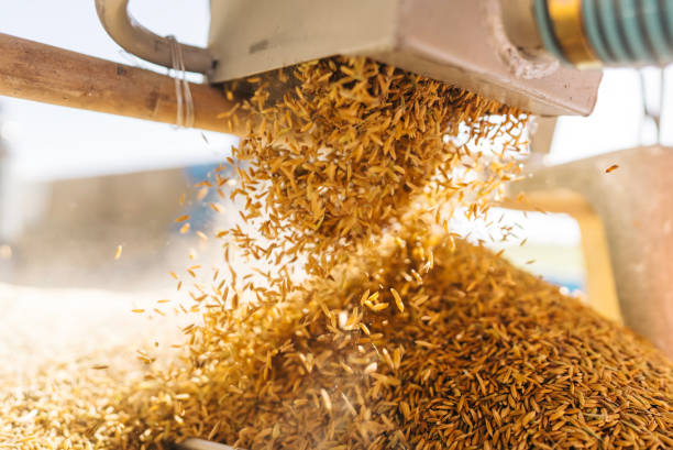En este momento estás viendo Marcelo Ruiz Juarez en busca de la industrialización inteligente