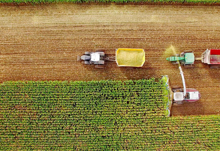 Con Marcelo Ruiz Juárez al timón, la innovación redefine el agrocomercio