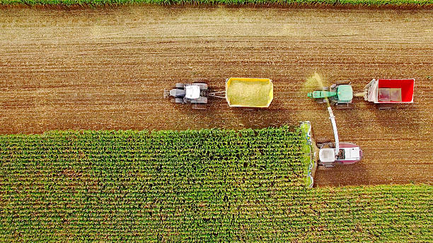 Lee más sobre el artículo Con Marcelo Ruiz Juárez al timón, la innovación redefine el agrocomercio