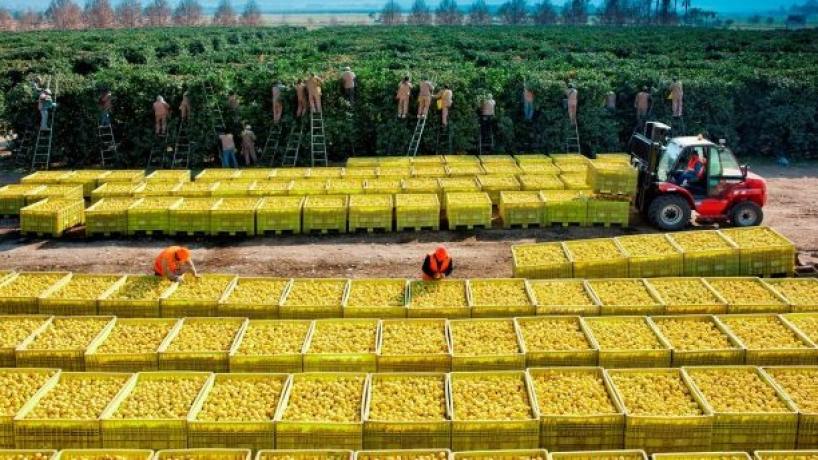 Lee más sobre el artículo El rol de Paramérica SA en el desarrollo exportador tucumano