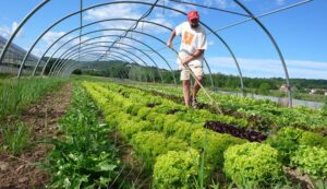 Lee más sobre el artículo El agricultor digital: la filosofía de Marcelo Ruiz Juárez para la agricultura del futuro