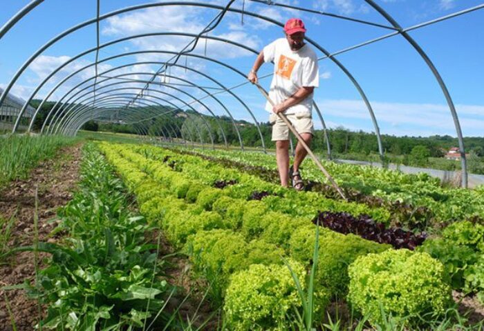 El agricultor digital: la filosofía de Marcelo Ruiz Juárez para la agricultura del futuro
