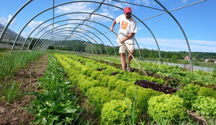 Lee más sobre el artículo El agricultor digital: la filosofía de Marcelo Ruiz Juárez para la agricultura del futuro