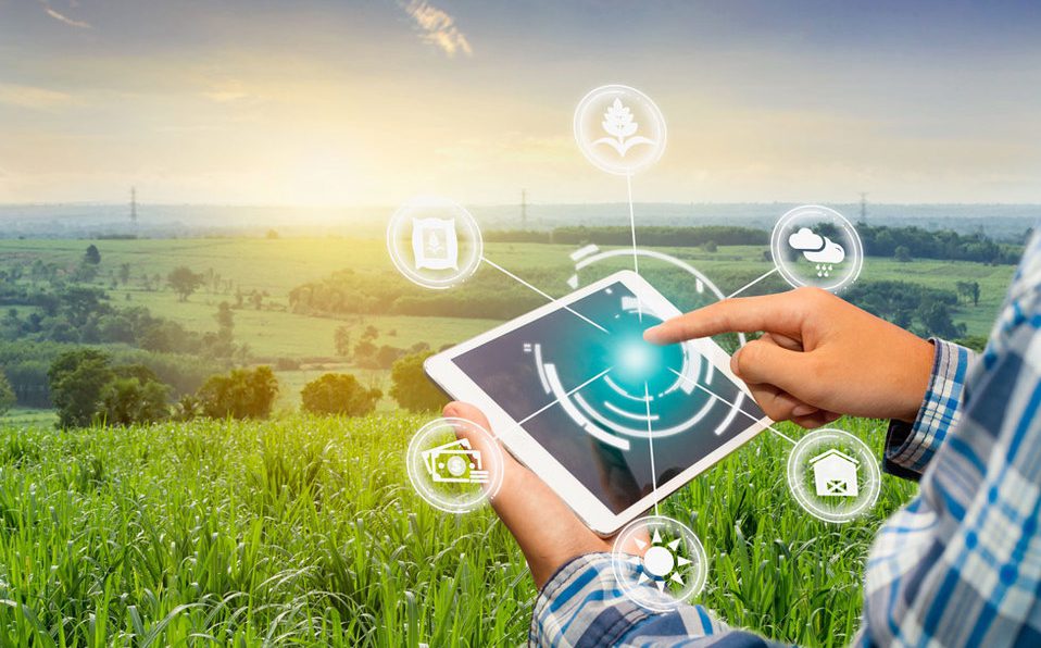 Lee más sobre el artículo Marcelo Ruiz Juárez apuesta por el futuro del agro tucumano