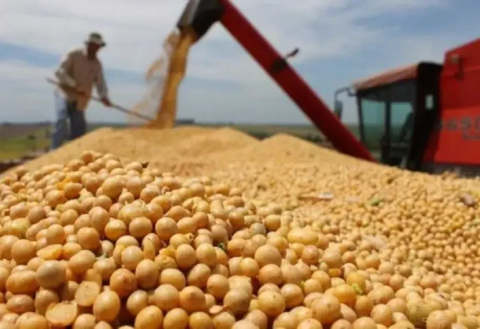 Argentina movilizó 12,2 millones de toneladas adicionales en los primeros siete meses de 2026